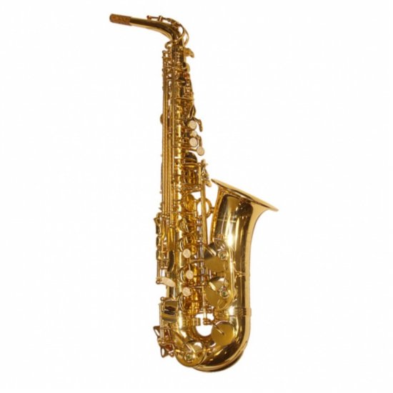 Elkhart 100AS Eb Lacquered Student Eb Alto Saxophone